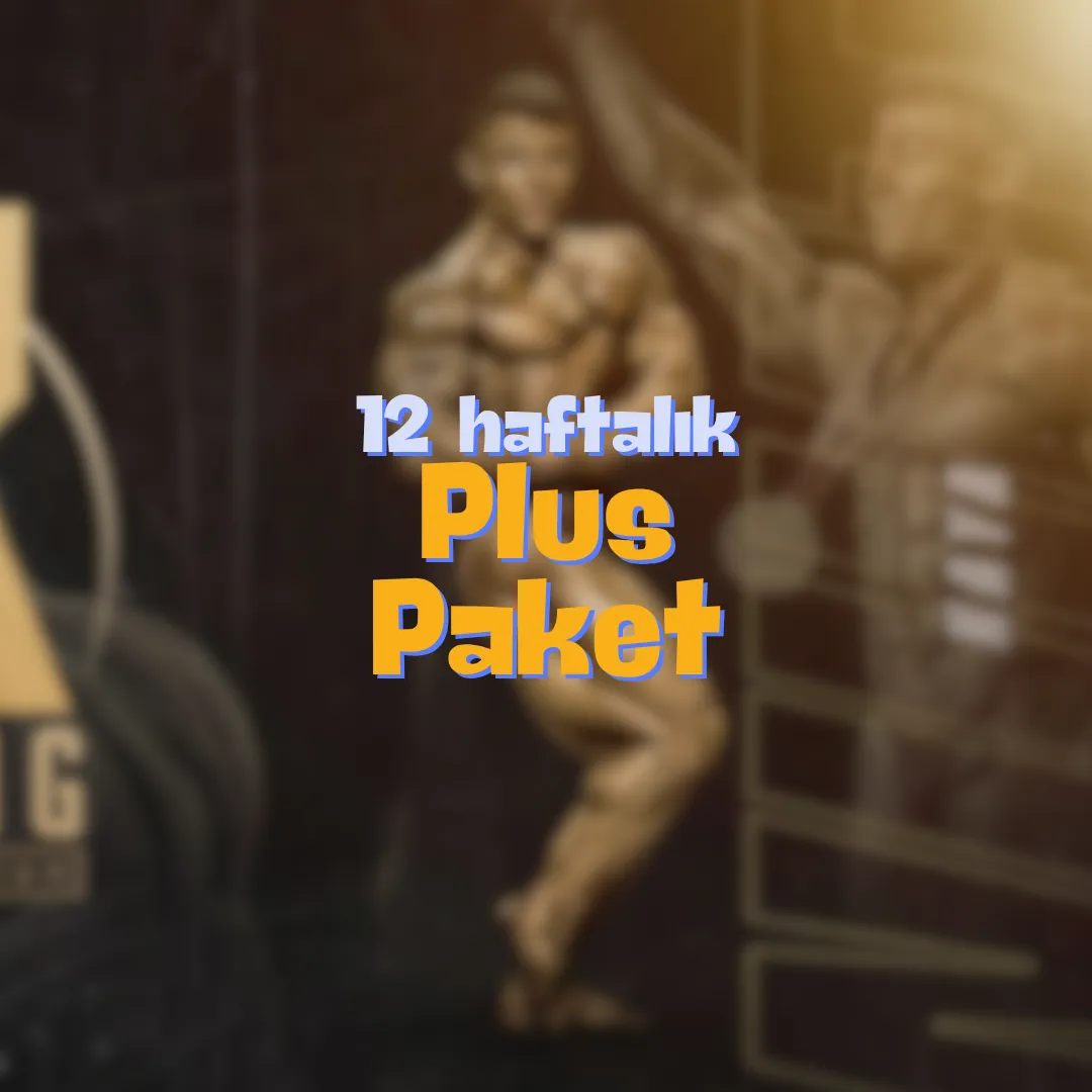 12 Haftalık Plus Uzaktan Eğitim Paketi